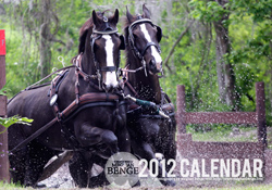 2012 Calendar