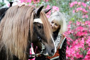 chestnuthorse.jpg