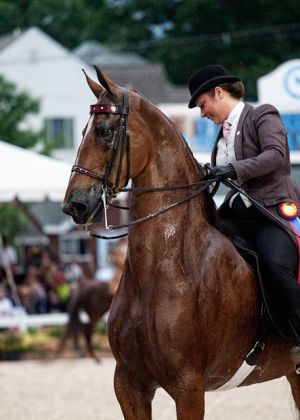saddlebred.jpg